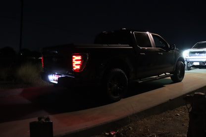 AlphaRex 21-22 Ford F150 LUXX LED Projector Tail Lights - Alpha-Black