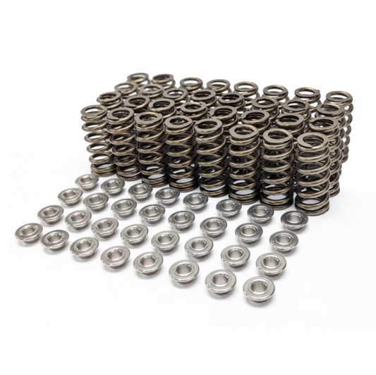 LIVERNOIS MOTORSPORTS 2018-2023 COYOTE 5.0L VALVE SPRINGS AND KITS
