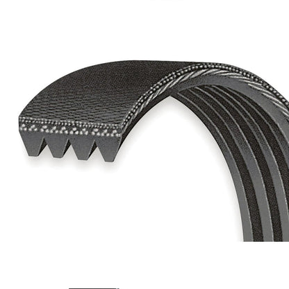 Accesorio VMP Performance Belt de 4 costillas para 5.0/5.2L con balanceador ATI