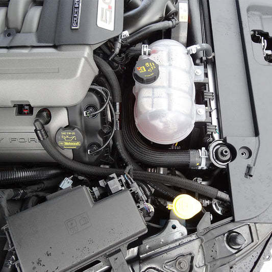 UPR 15-21 Mustang GT Separador de lata de captura de aceite de válvula única Plug N Play ™