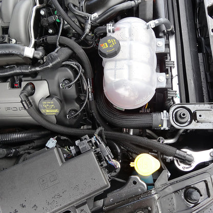 Separador de lata de captura de aceite Plug N Play de válvula única UPR 15-21 Mustang GT
