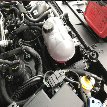 Separador de lata de captura de aceite de válvula única Mustang GT 2018+ con separador del lado limpio del conductor - Plug N Play