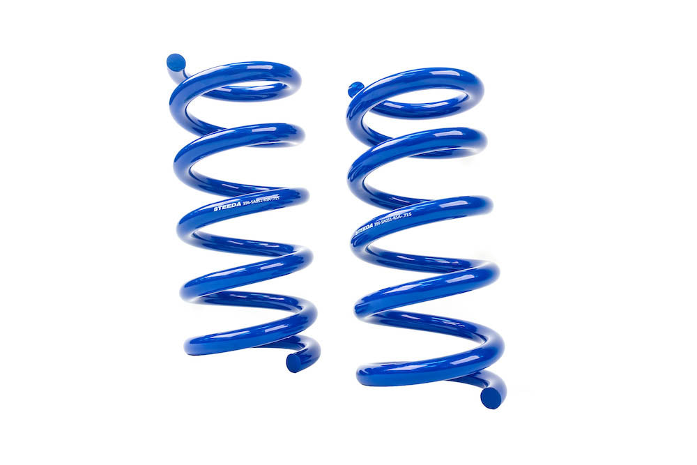 Steeda S550/S650 Rear Drag Spring Kit