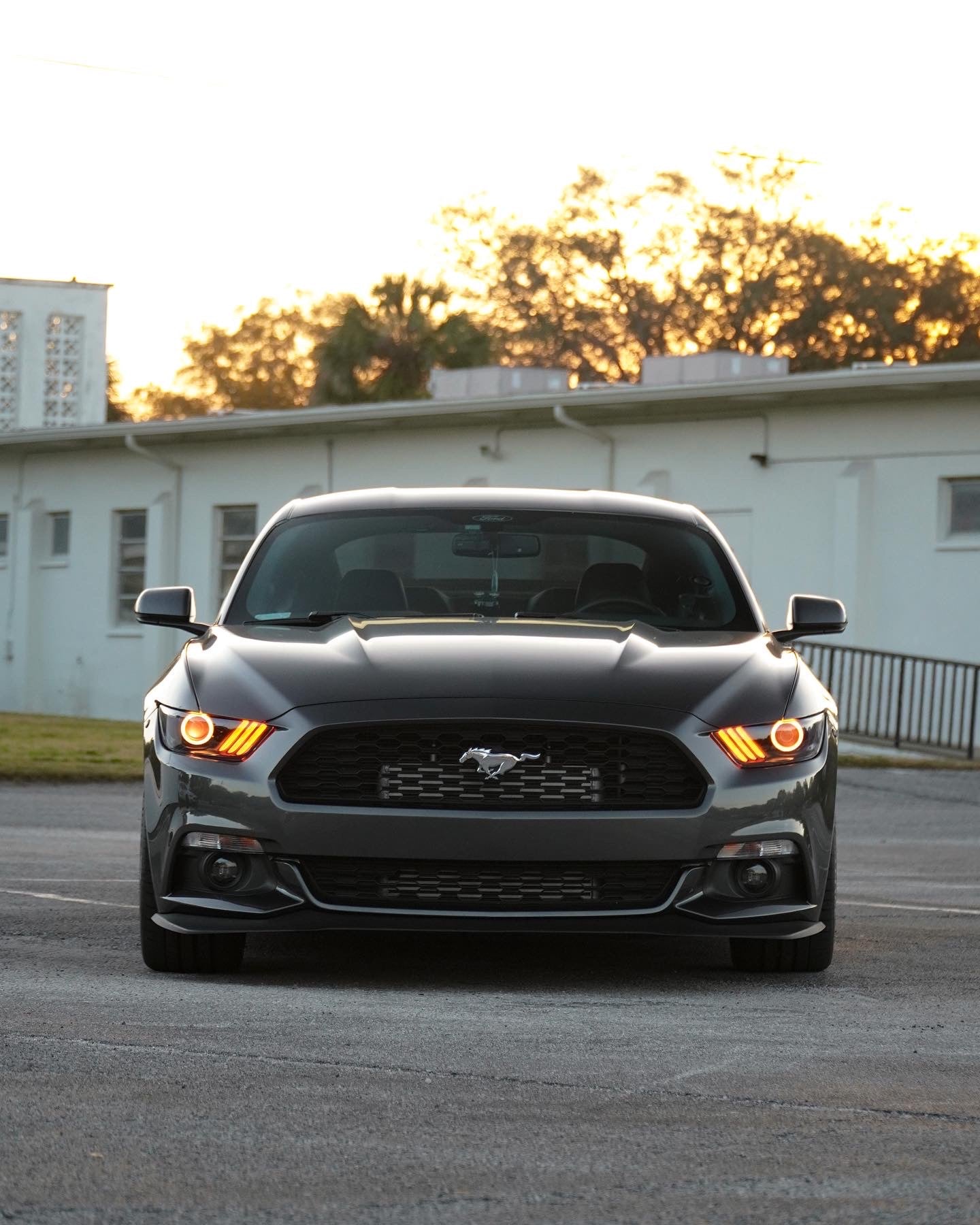 2016 mustang shop ecoboost accessories