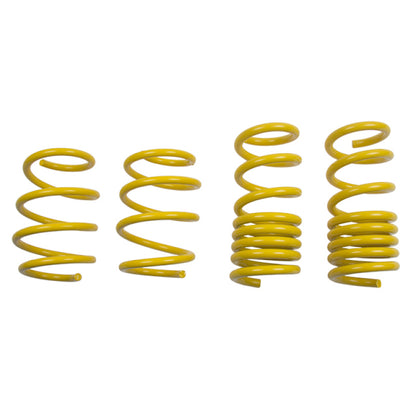 ST Lowering Springs Ford Mustang V8