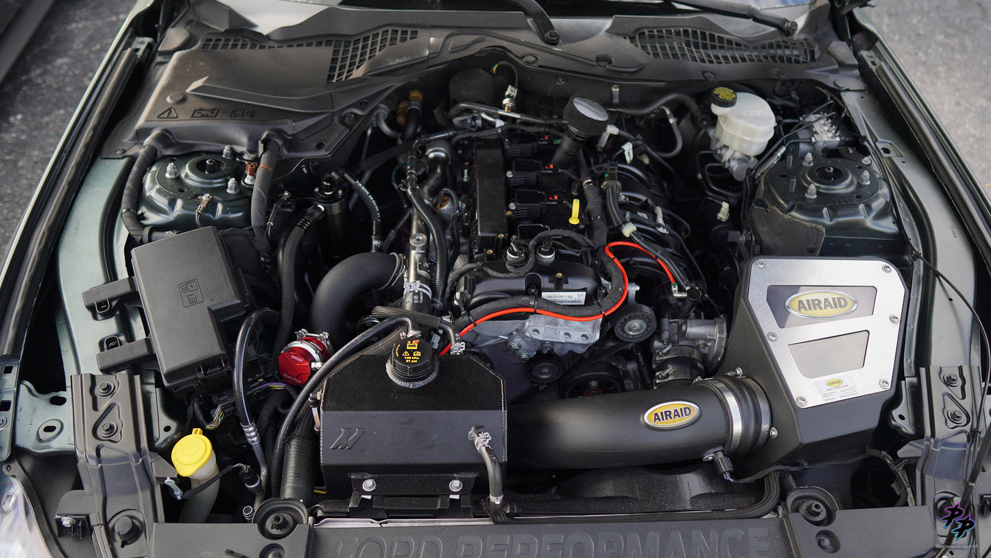 (RACE PORT) PP BOV Hardline Kit for 2015+ Ecoboost Mustangs